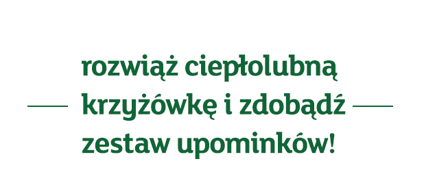 Rozwój MSC na obszarze ulic Kopernika i Orzeszkowej